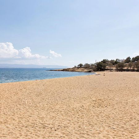 Villa San Dimitrio House On The Beach Logaras Eksteriør billede