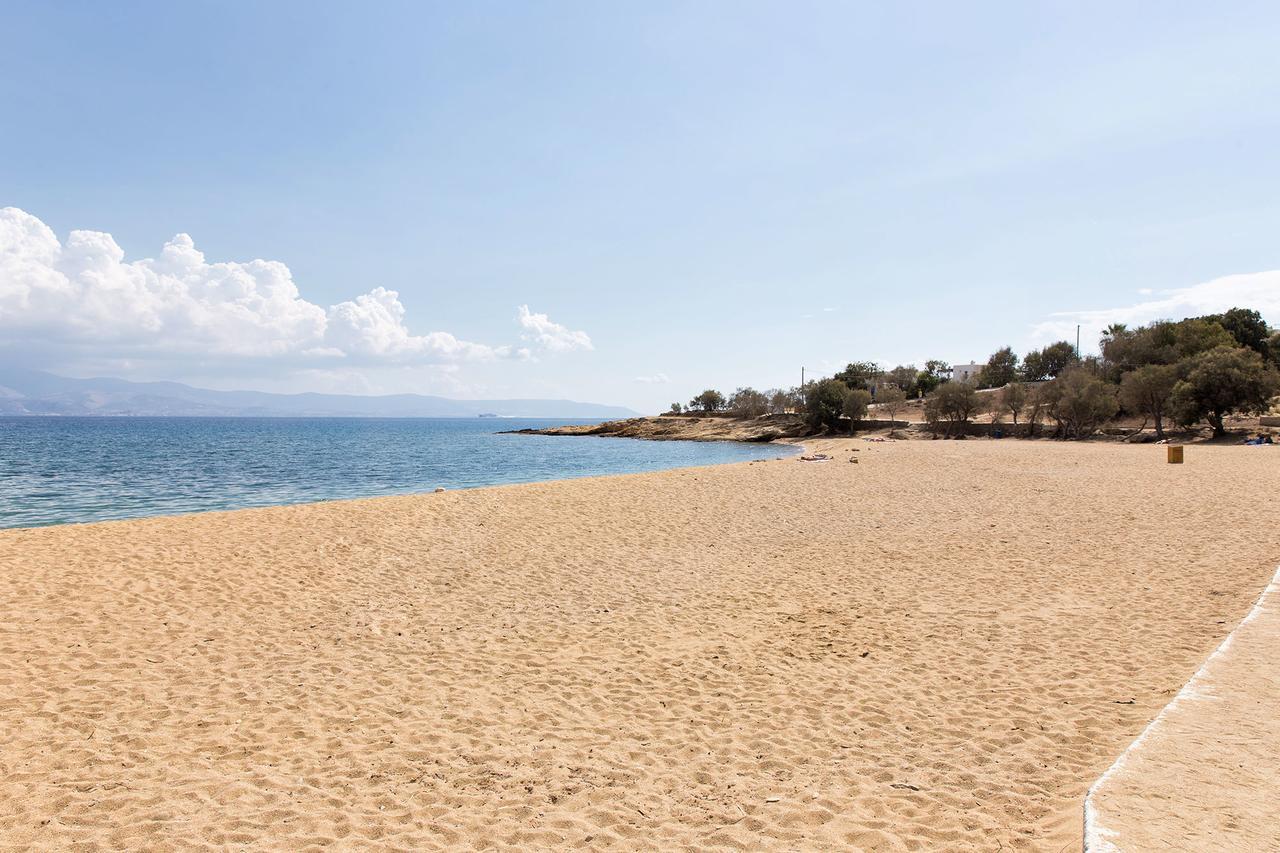 Villa San Dimitrio House On The Beach Logaras Eksteriør billede