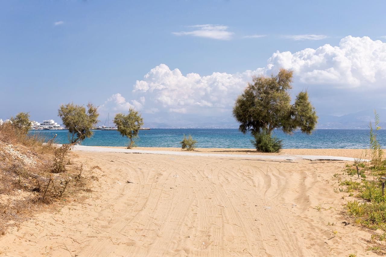 Villa San Dimitrio House On The Beach Logaras Eksteriør billede